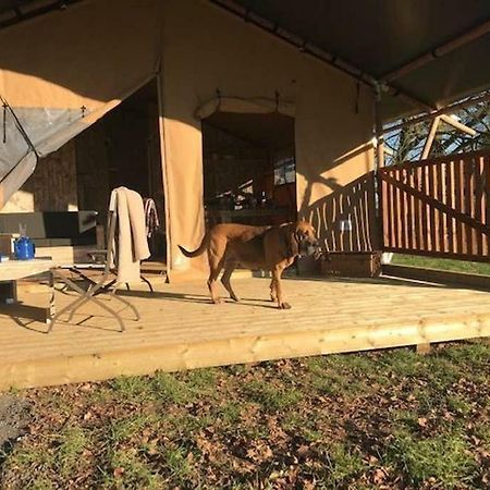 Lapwing Safari Tent Cheltenham Buitenkant foto